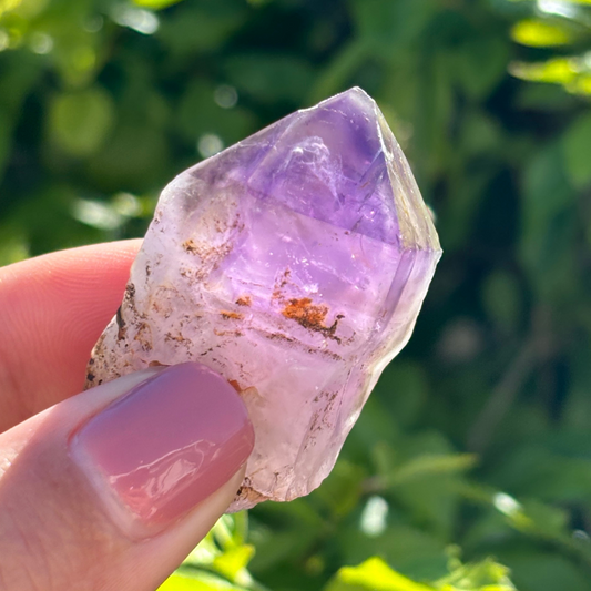 Royal Zulu Window Amethyst *New Find*
