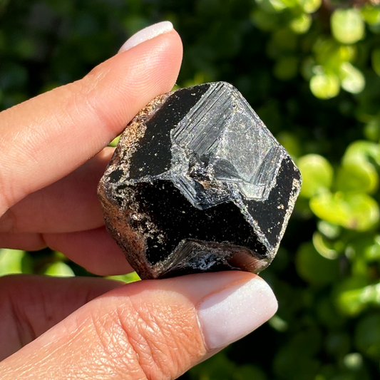 Black Garnet (Melanite) var. Andradite