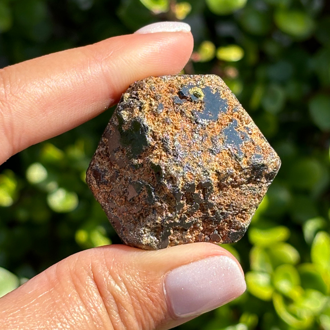 Black Garnet (Melanite) var. Andradite