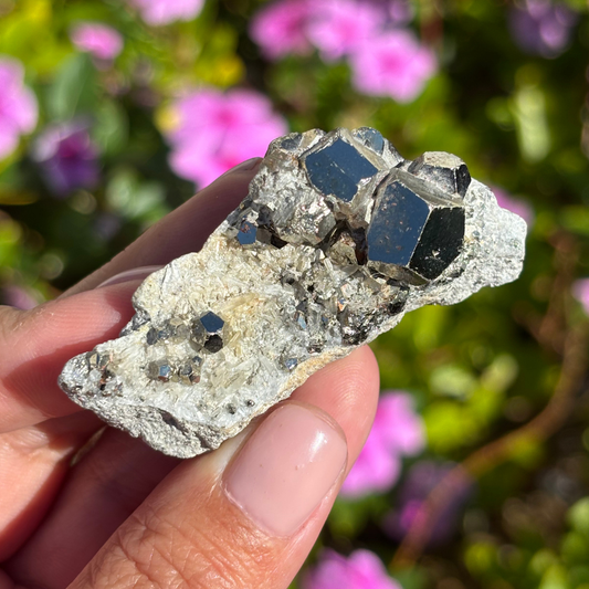 Clear Quartz with Pyrite Cluster