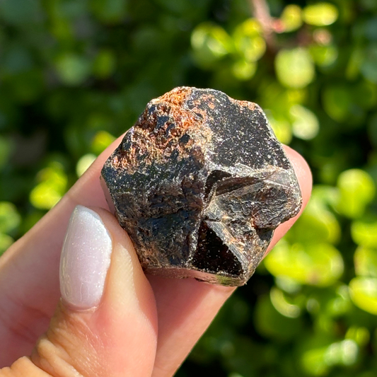 Black Garnet (Melanite) var. Andradite