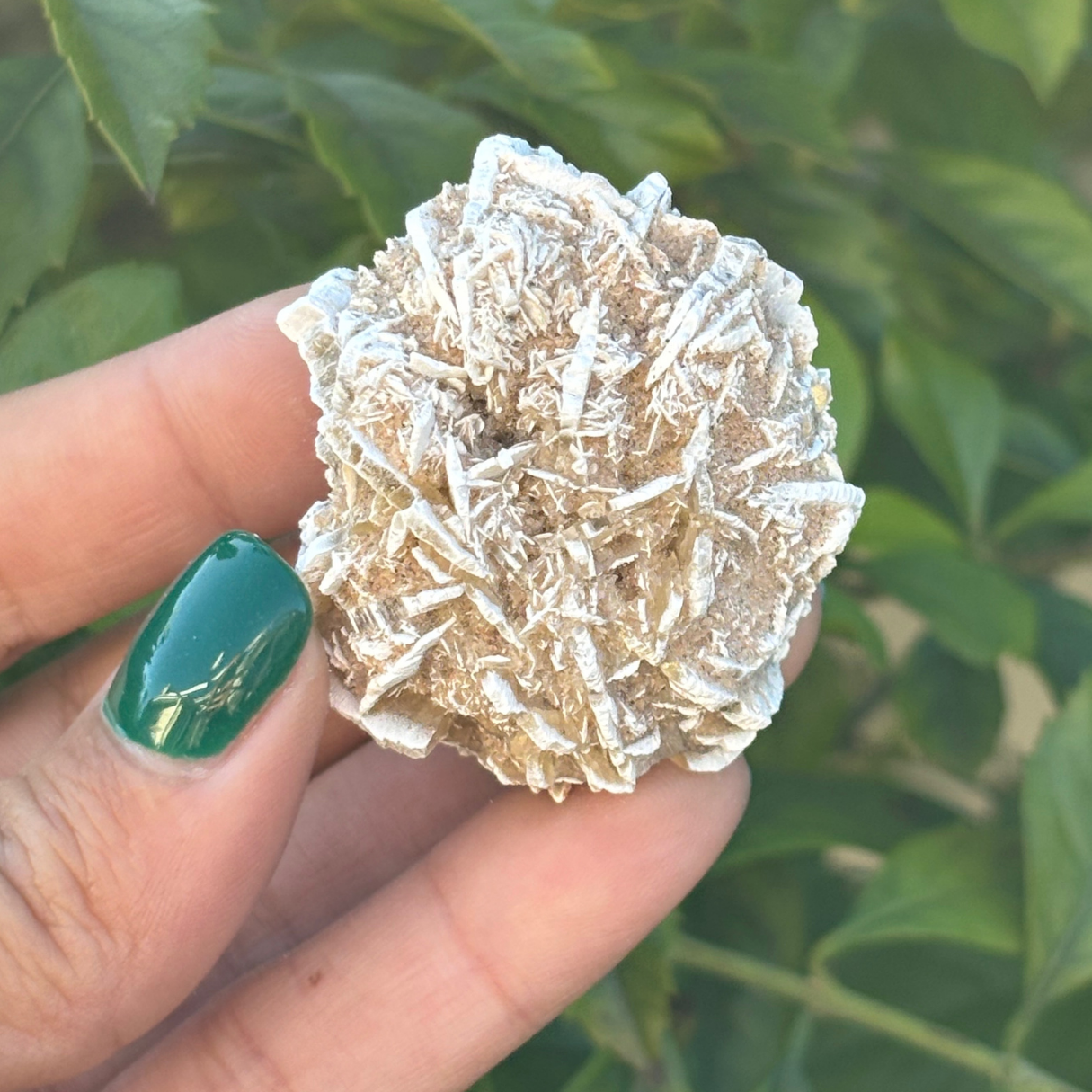 Desert Rose Selenite Specimen