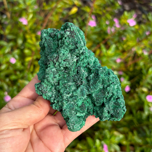 Natural Fibrous Velvet Malachite Specimen - Large