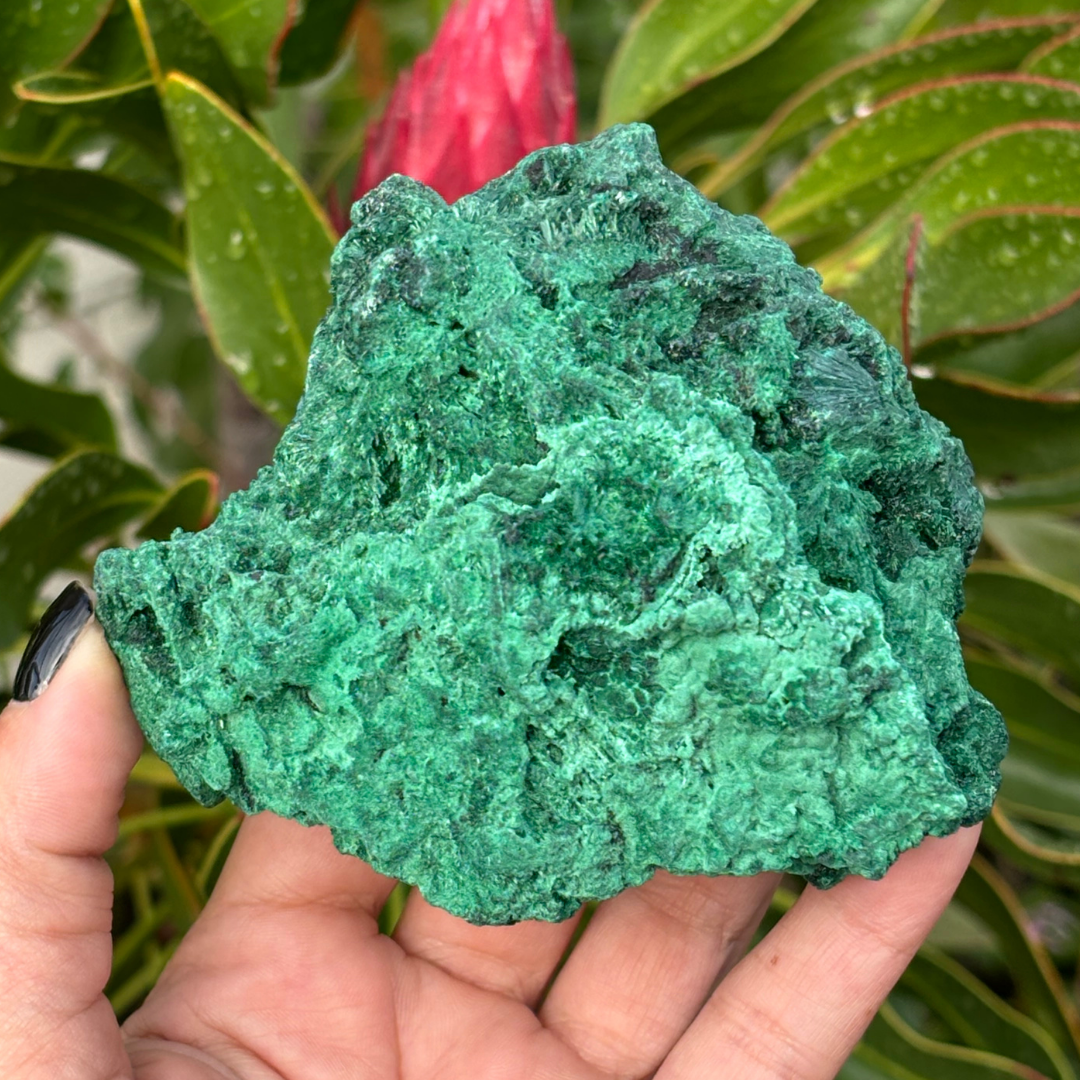 Natural Fibrous Velvet Malachite Specimen - Large