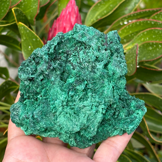 Natural Fibrous Velvet Malachite Specimen - Large