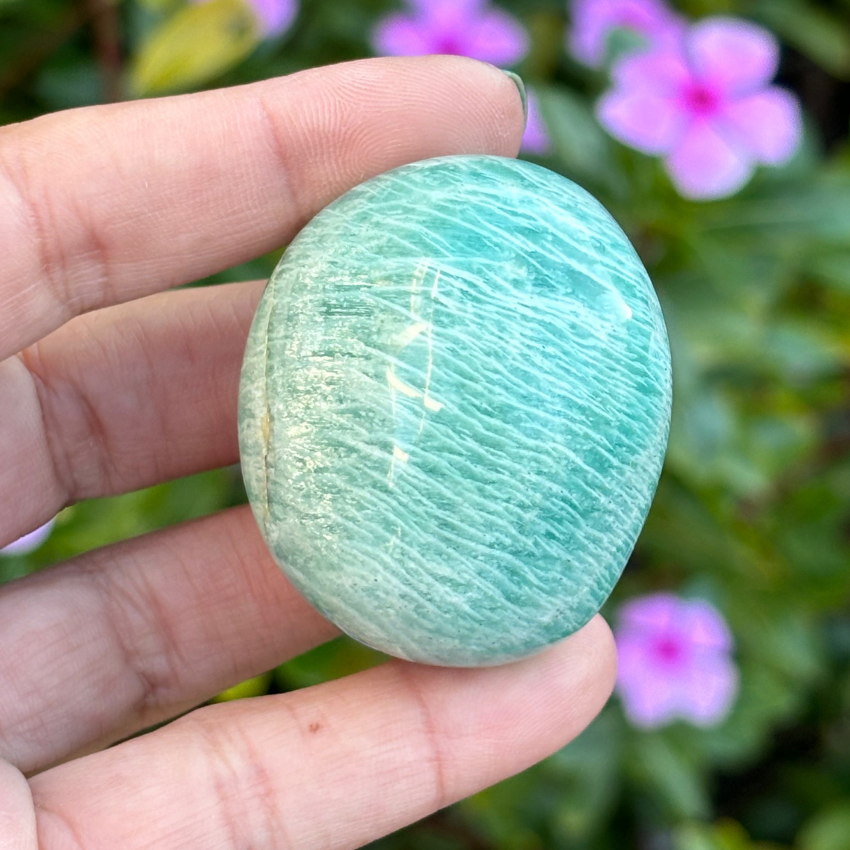 Amazonite Large Tumbled - Palm Stone