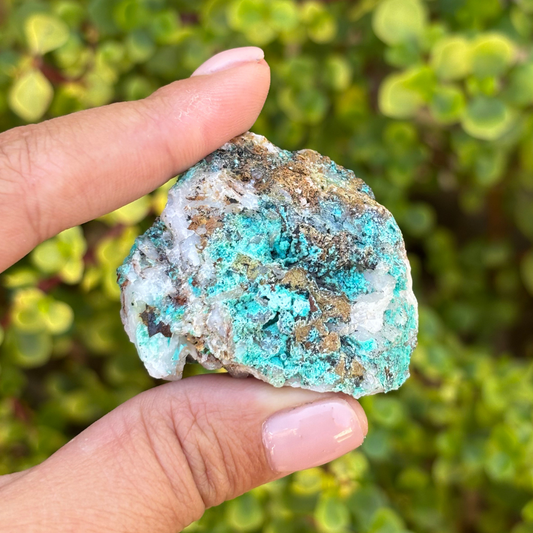 Aurichalcite Specimen
