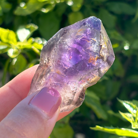 Royal Zulu Window Amethyst *New Find*
