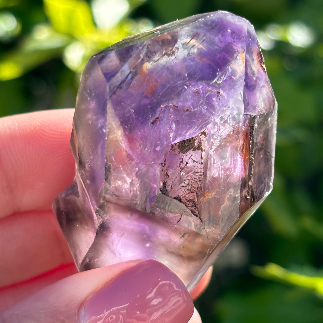 Royal Zulu Window Amethyst *New Find*