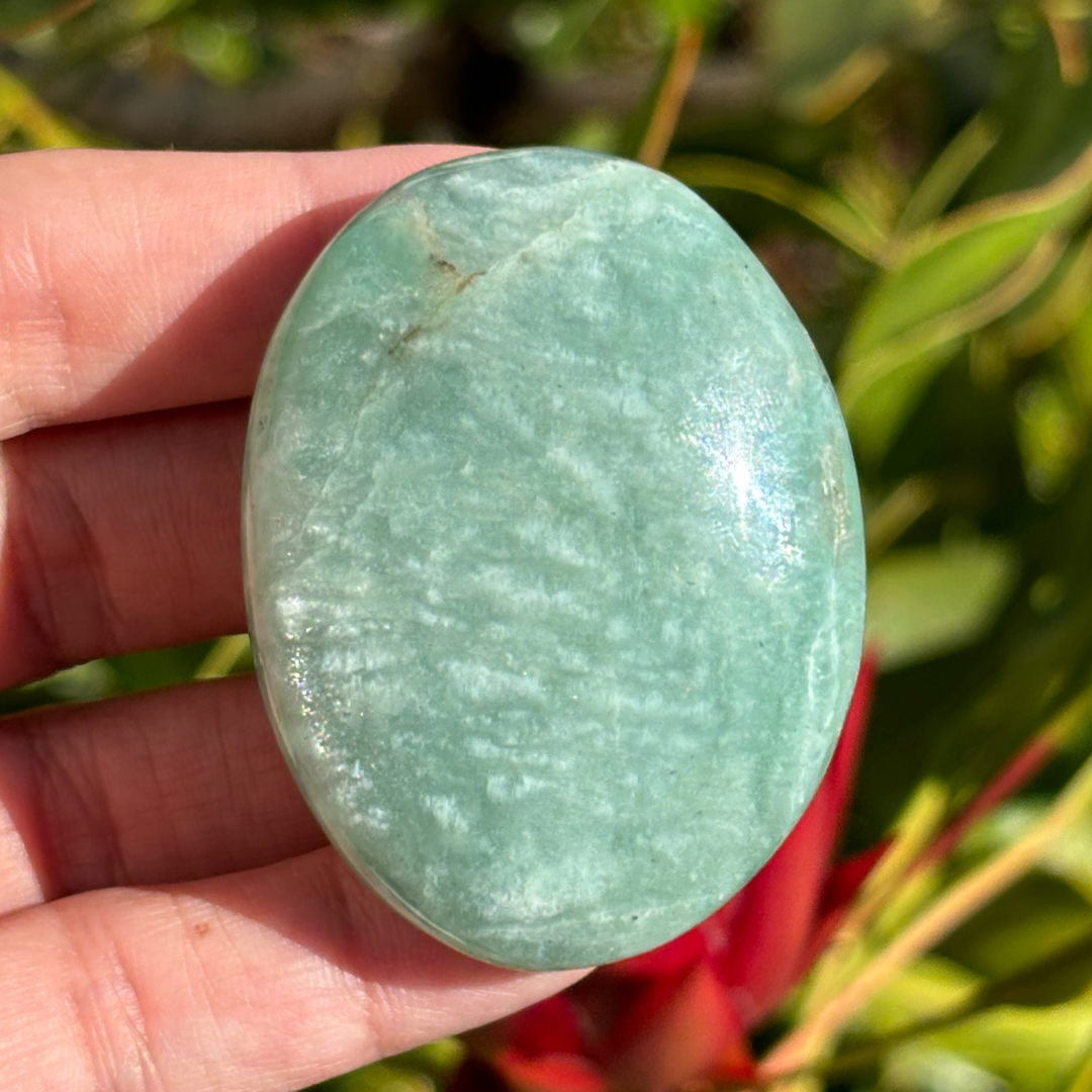 Amazonite Palm Stone