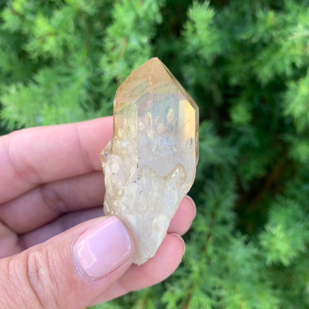 Kundalini Citrine Quartz Point - 33g
