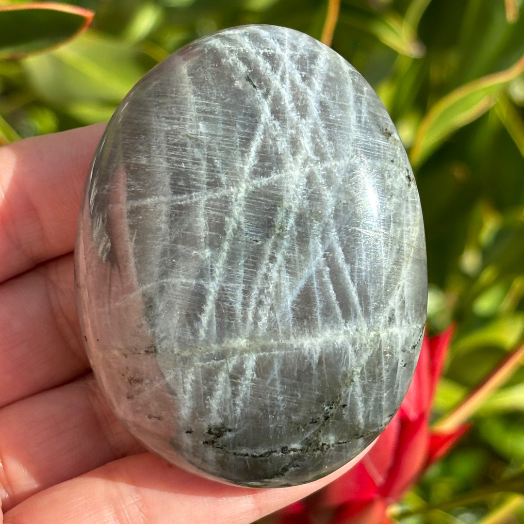 Labradorite Pink Purple Palm Stone