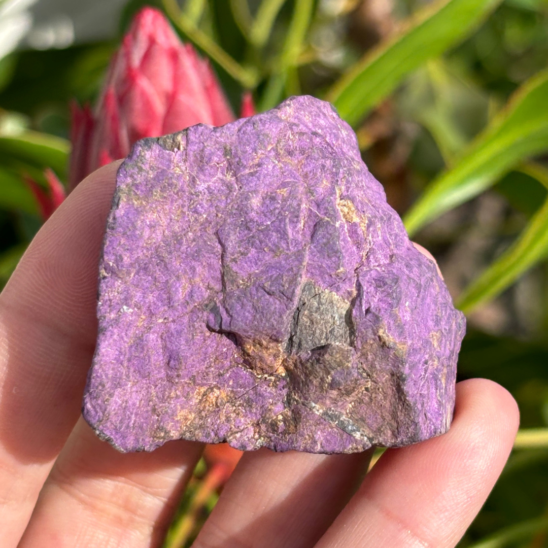 Purpurite Natural Specimen