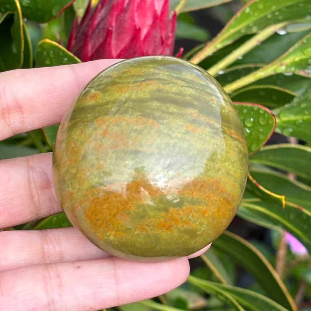 Green Opal Palm Stone