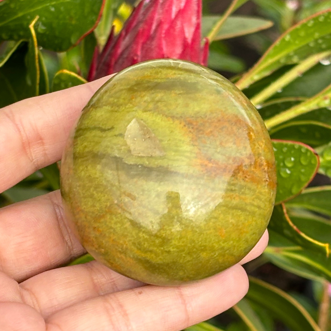 Green Opal Palm Stone