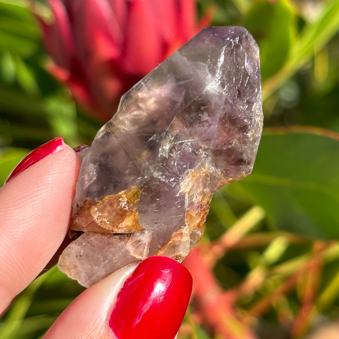Royal Zulu Amethyst *New Find*