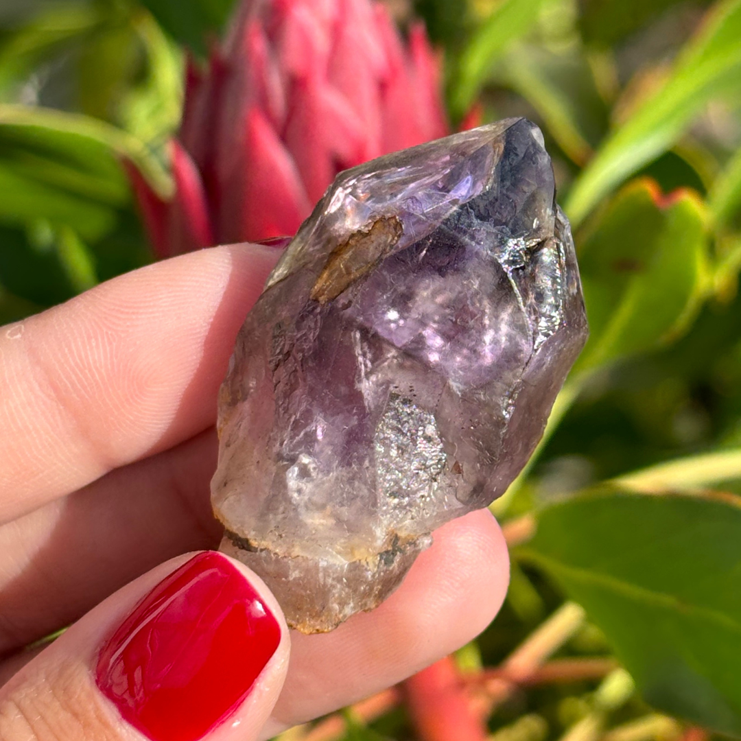 Royal Zulu Amethyst *New Find*