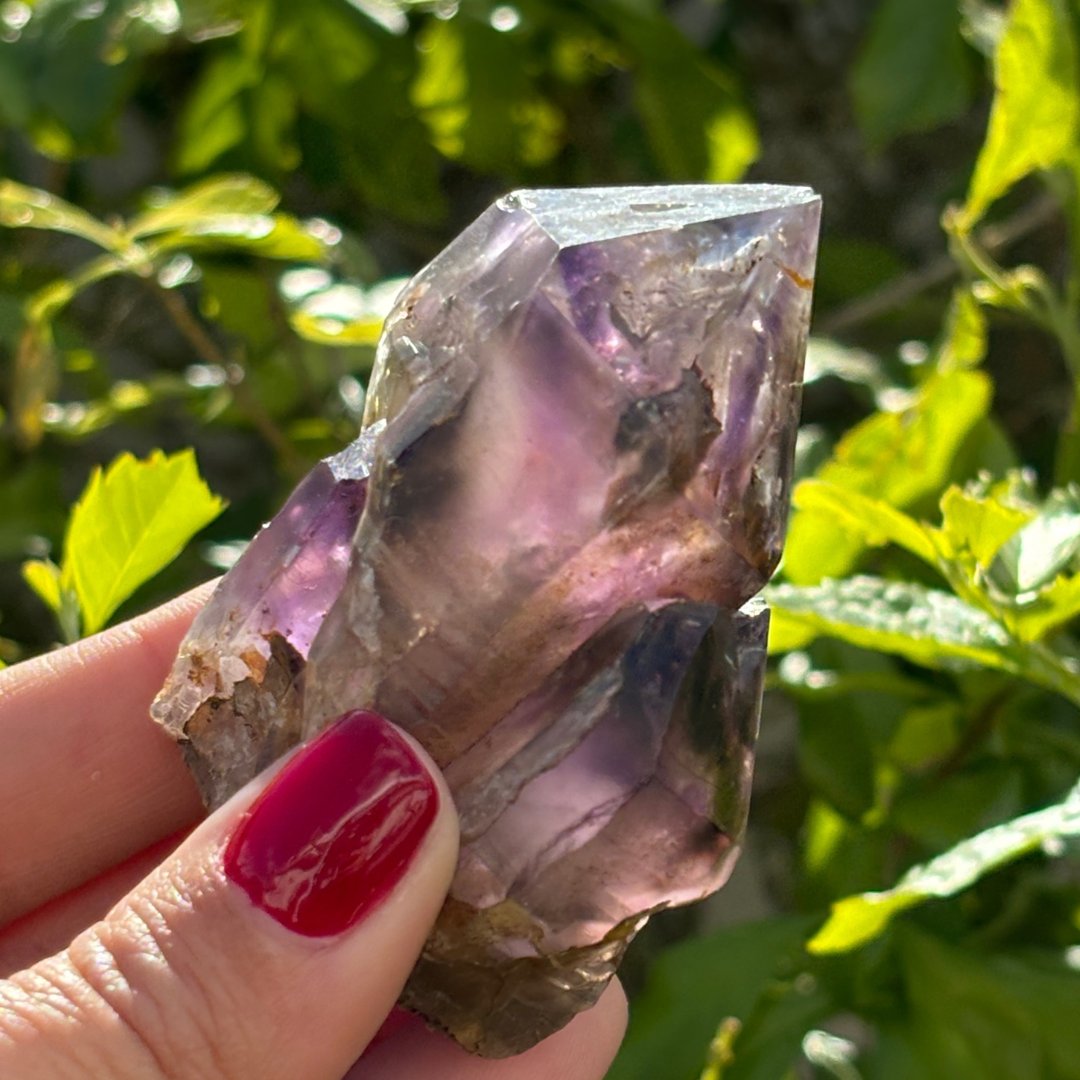 Royal Zulu Window Amethyst *New Find*