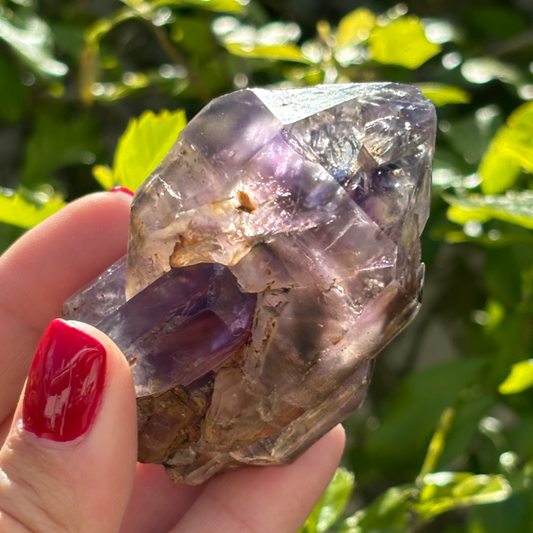 Royal Zulu Window Amethyst *New Find*