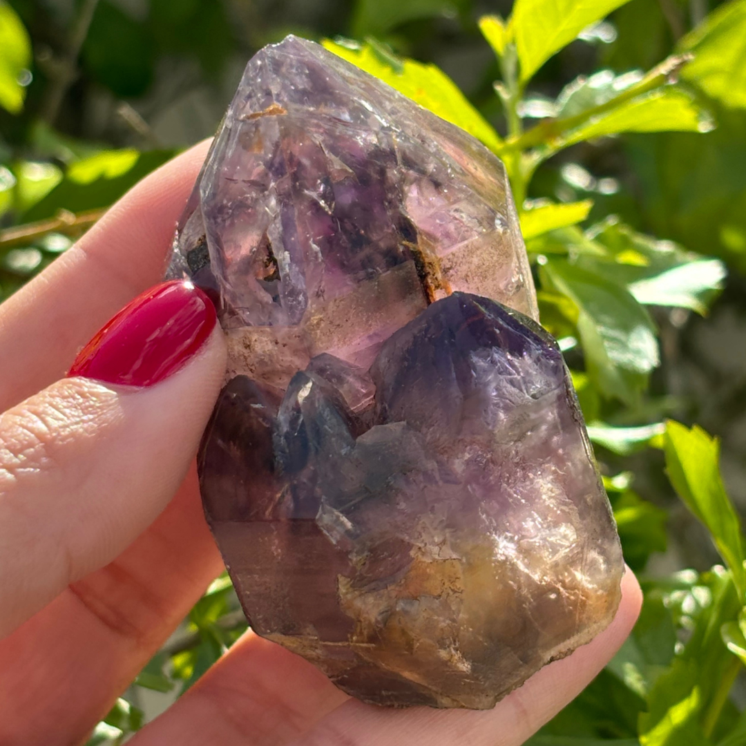 Royal Zulu Window Amethyst *New Find*