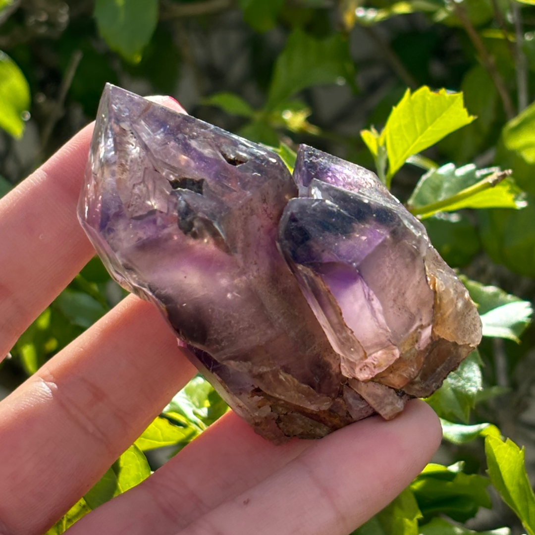 Royal Zulu Window Amethyst *New Find*