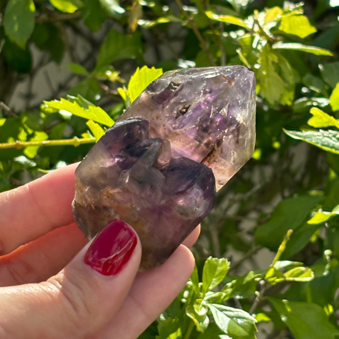 Royal Zulu Window Amethyst *New Find*