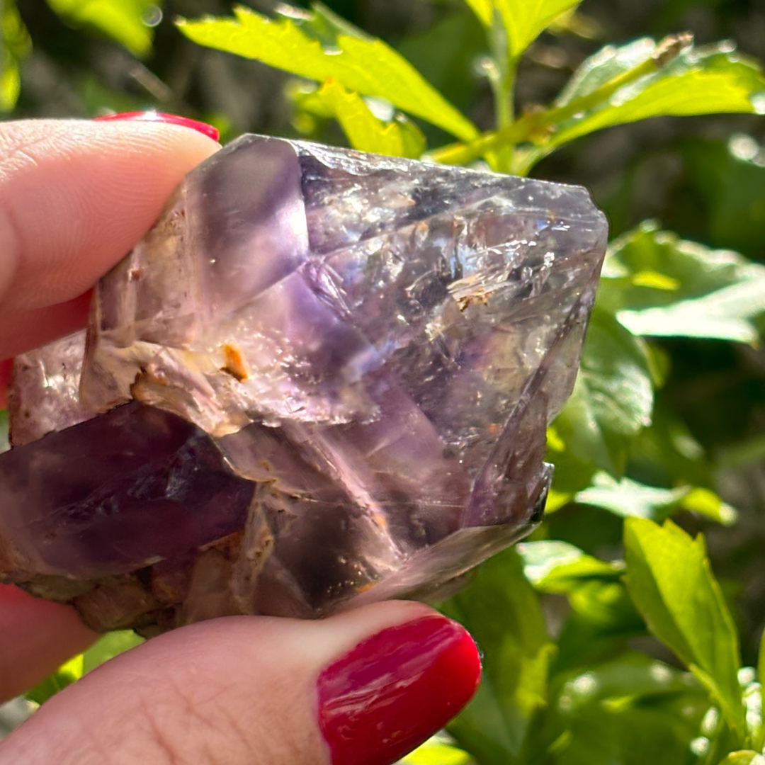 Royal Zulu Window Amethyst *New Find*