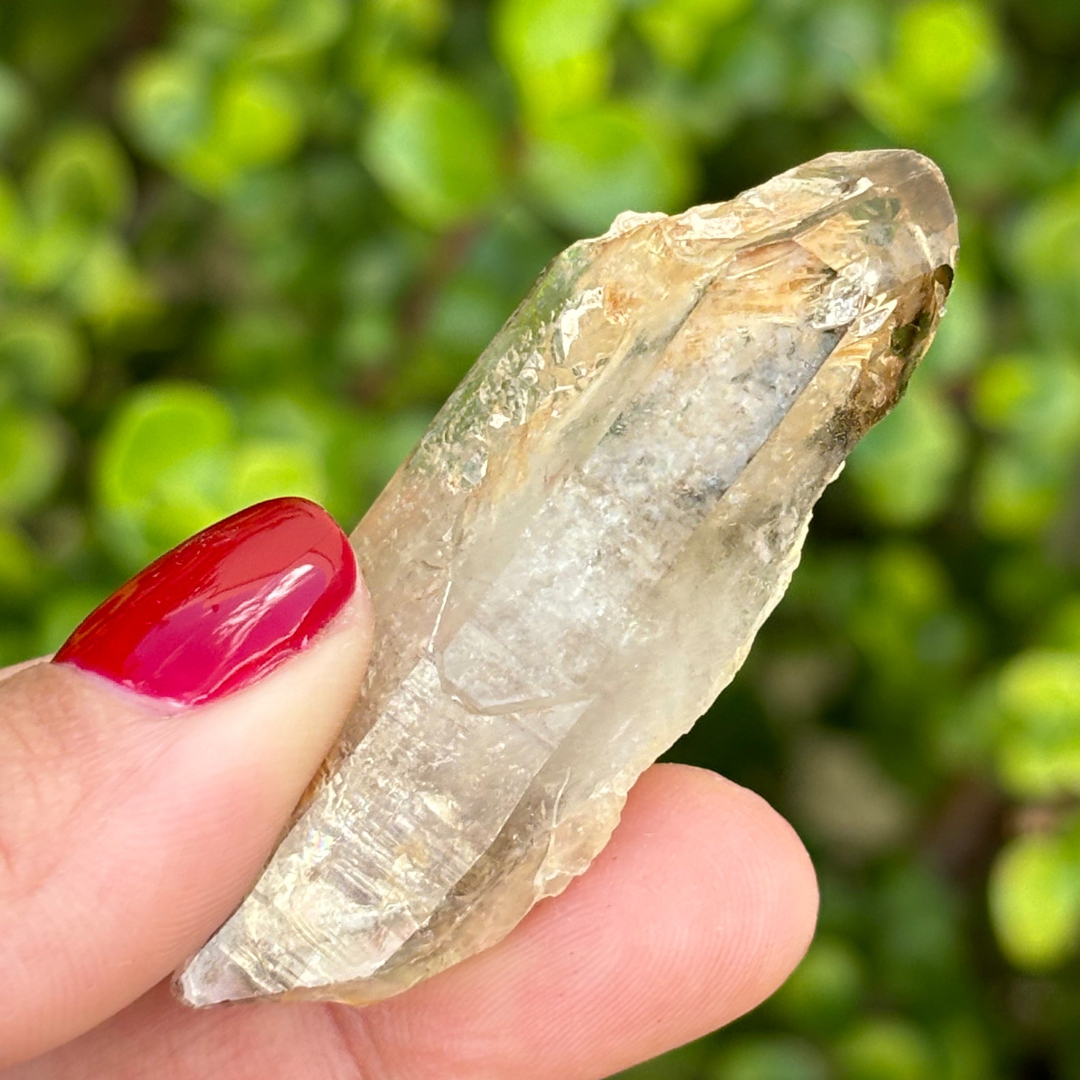 Brandberg Smoky Window Quartz Point