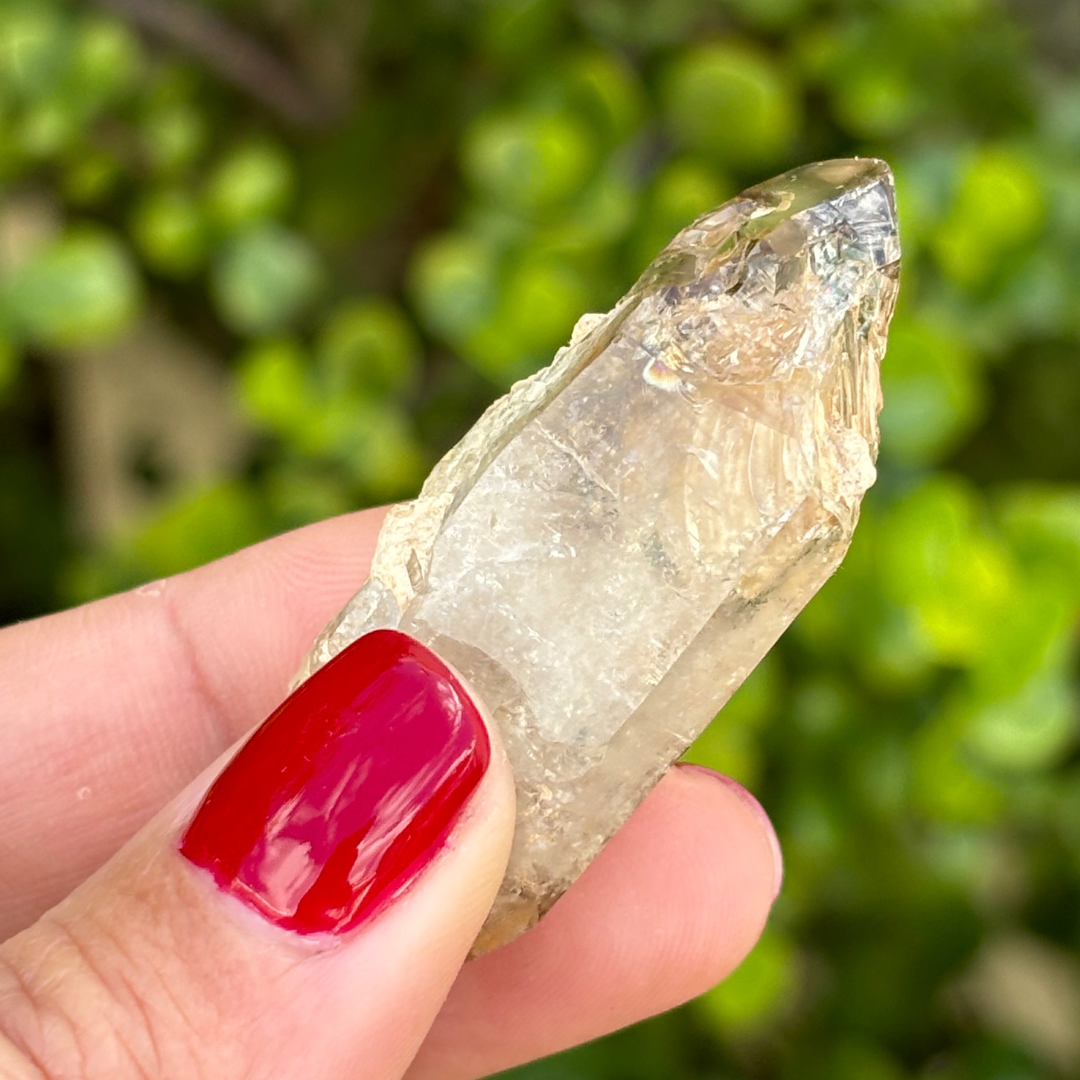Brandberg Smoky Window Quartz Point