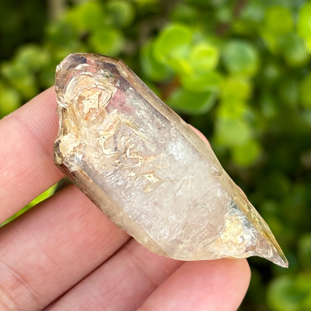 Brandberg Smoky Window Quartz Point