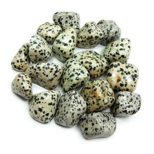 Dalmation Jasper Tumbled Stones