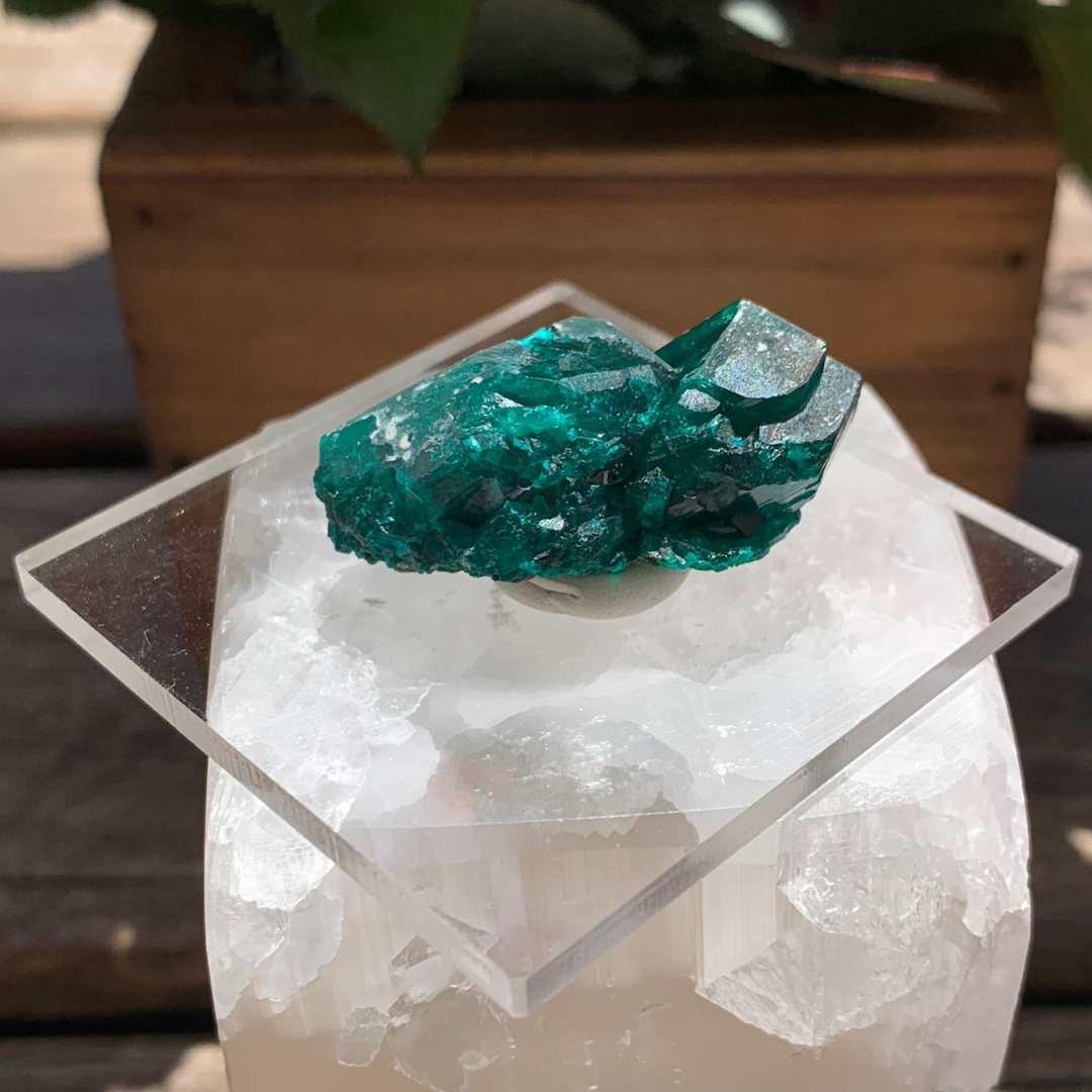 Dioptase Specimen