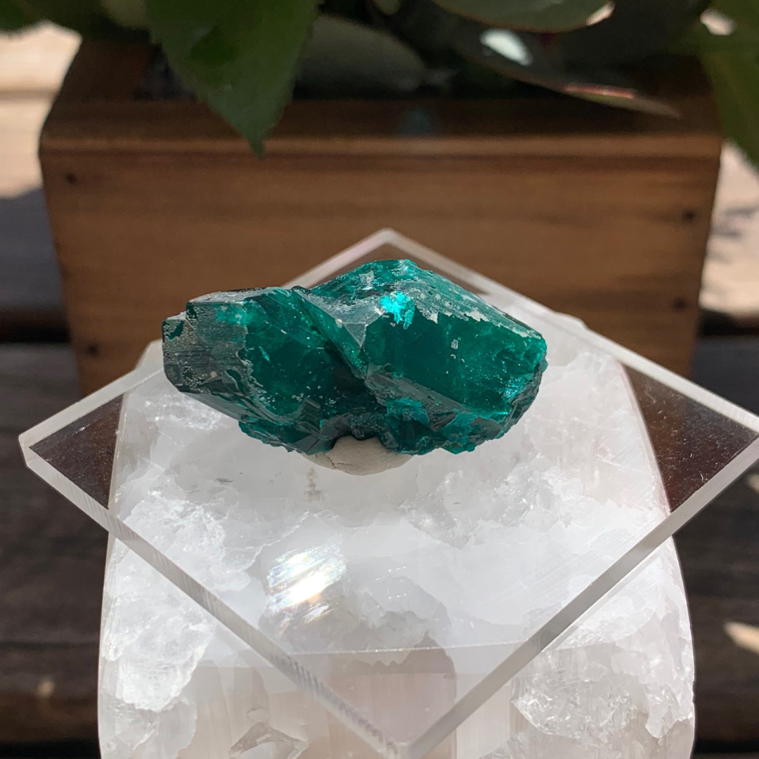 Dioptase Specimen