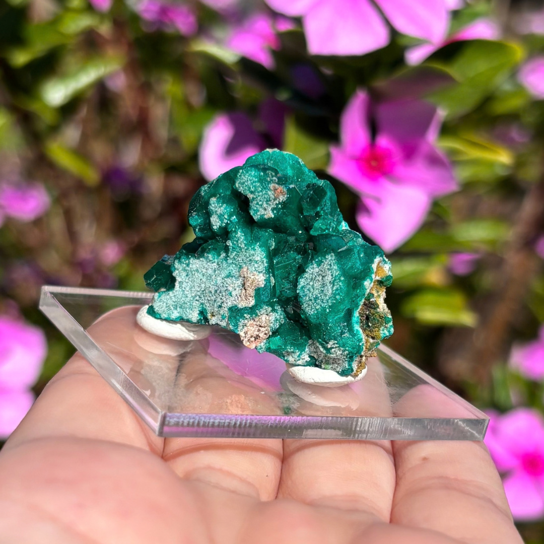Dioptase Specimen