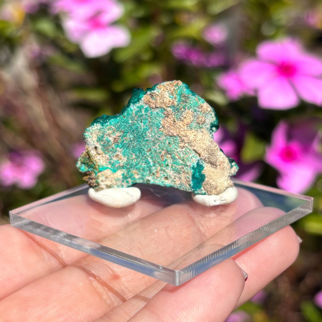 Dioptase Specimen