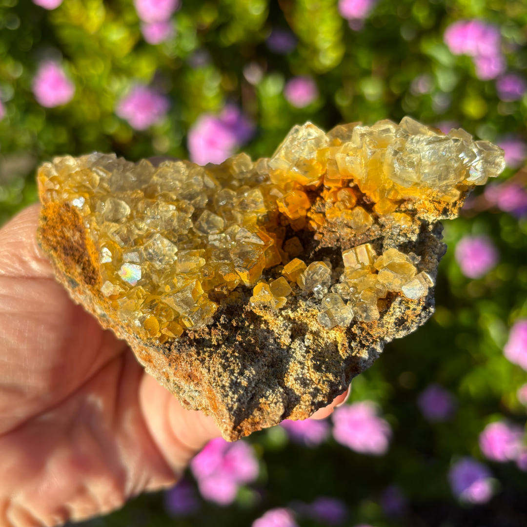 Glassy Clear Fluorite Cluster
