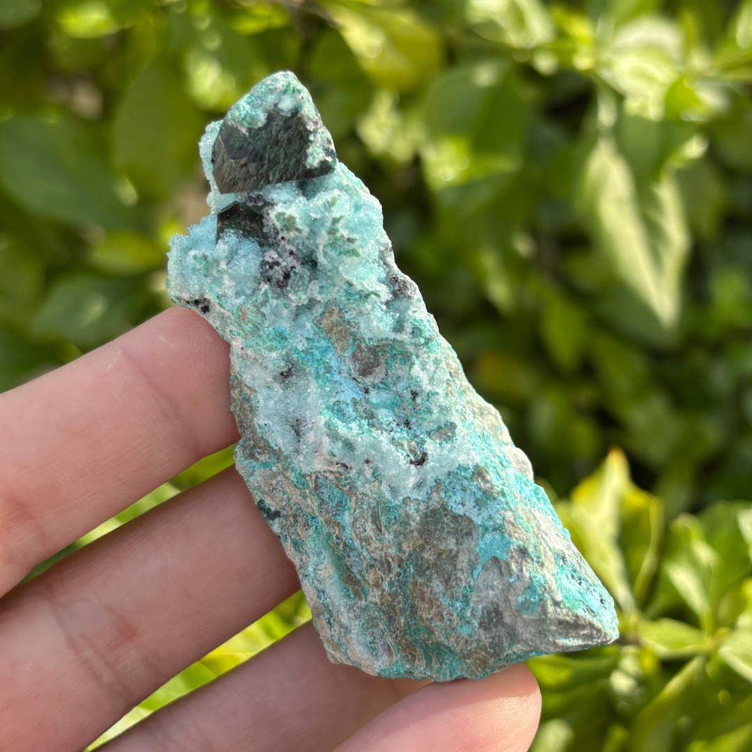 Chrysocolla Drusy with Malachite Specimen