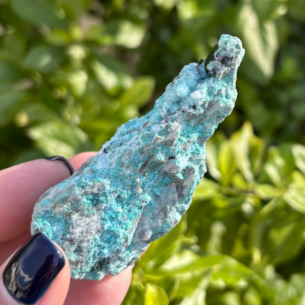 Chrysocolla Drusy with Malachite Specimen