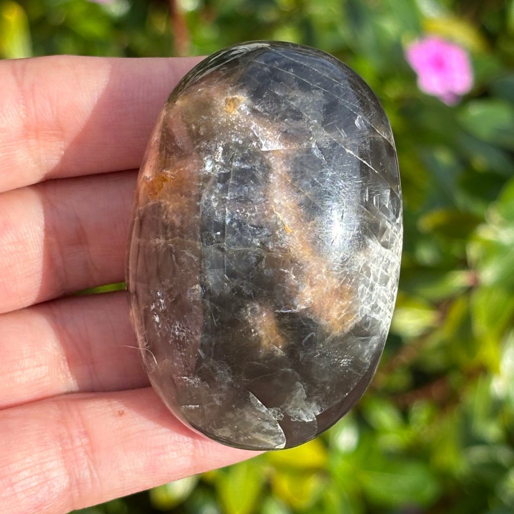 Black Moonstone Palm Stone