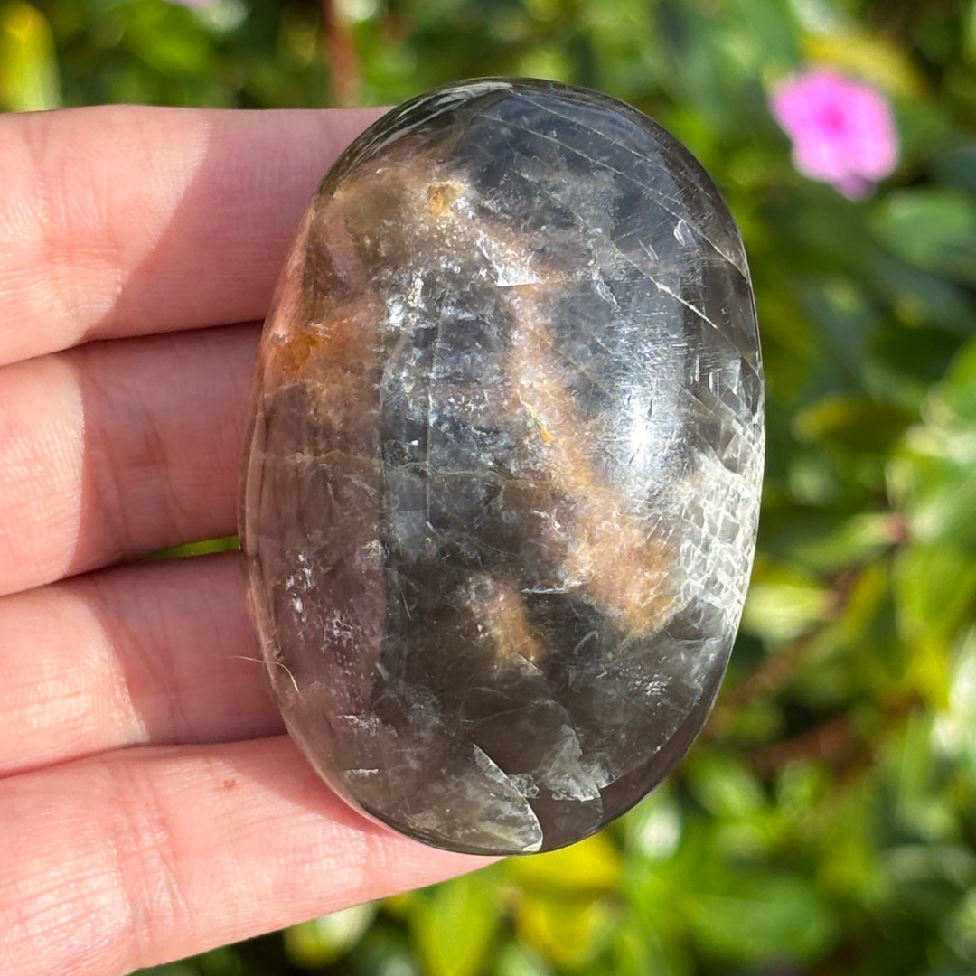 Black Moonstone Palm Stone