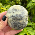 Dendritic Opal Palm Stone