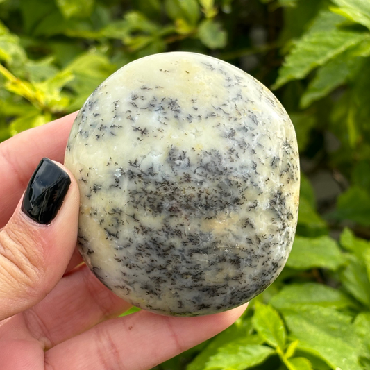 Dendritic Opal Palm Stone