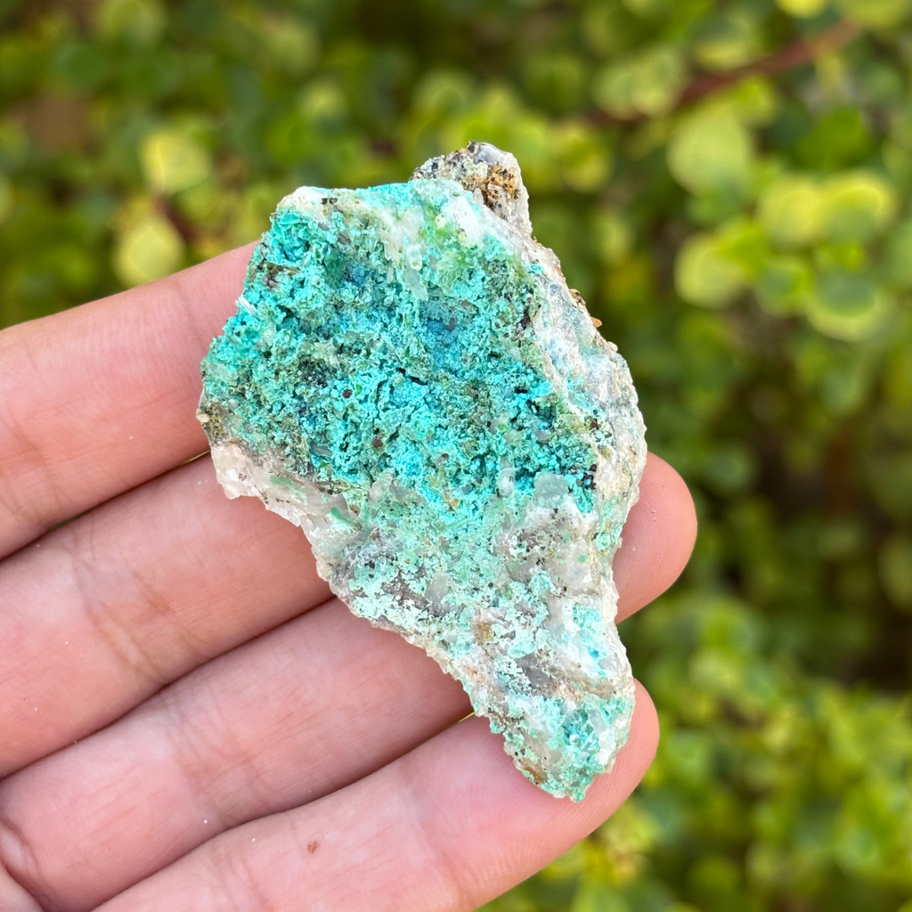 Aurichalcite Specimen