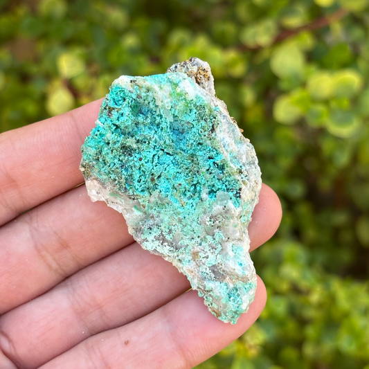 Aurichalcite Specimen