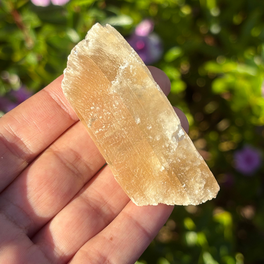 Golden Selenite (UV Reactive) - Morocco
