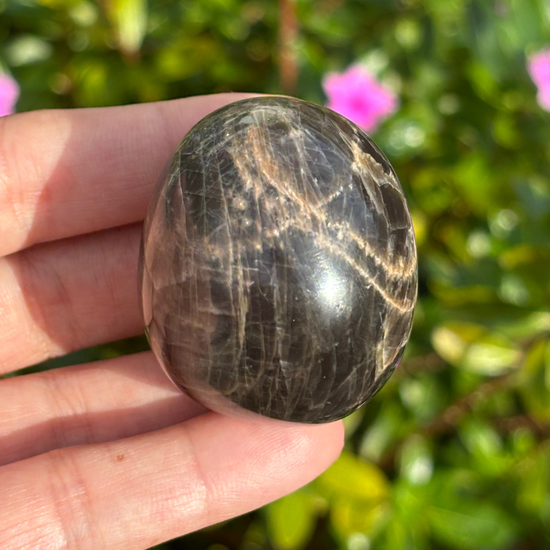 Black Moonstone Palm Stone