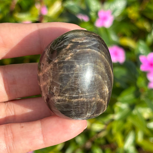 Black Moonstone Palm Stone