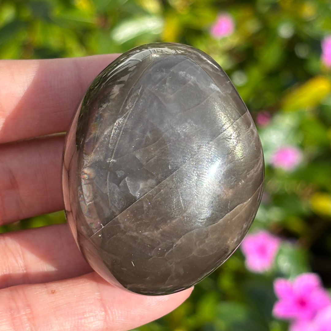 Black Moonstone Palm Stone