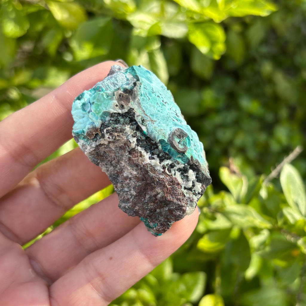 Chrysocolla with Malachite Specimen
