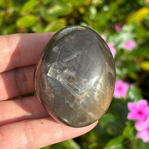 Black Moonstone Palm Stone